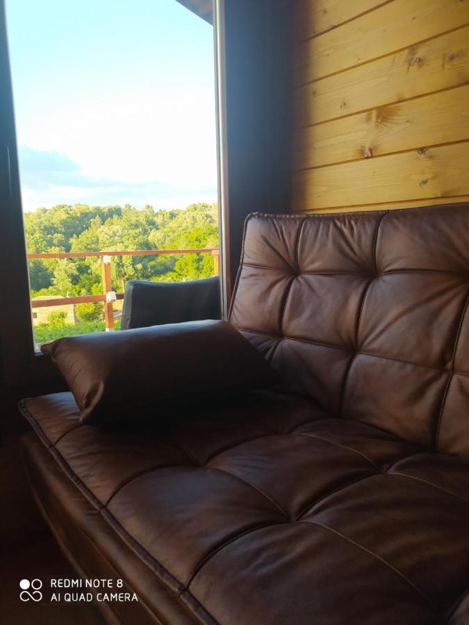 Casa Das Vinhas Velhas By Casa Do Poco Peso da Régua Buitenkant foto