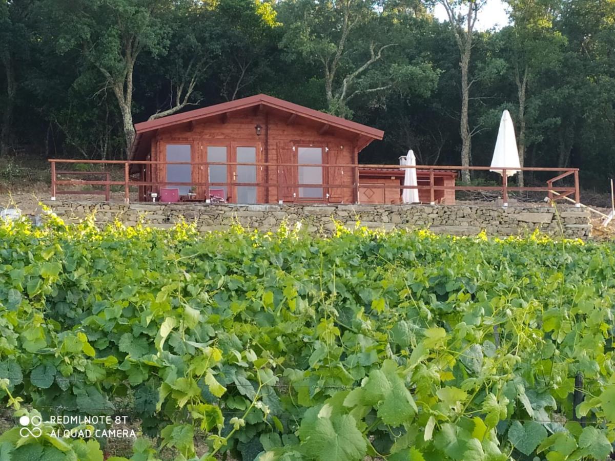 Casa Das Vinhas Velhas By Casa Do Poco Peso da Régua Buitenkant foto